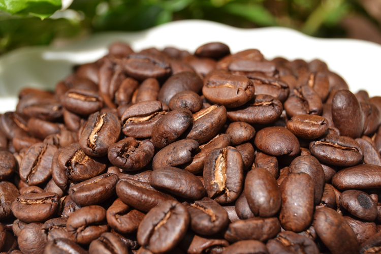 印度尼西亚 迦尤山 曼特宁g1咖啡熟豆 新鲜烘焙body醇厚227g