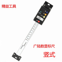 Wide-land number display horizontal vertical scale gauge displacement sensor machine tool machine tool grating ruler positioning electronic ruler 0-1000mm