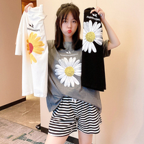 Small Daisy Striped Short Sleeve Shorts Pure Cotton Korean Version Casual Pyjamas Womens Summer Loose Net Red Ins Home Clothing