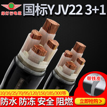 Green light line YJV22 3 1 core cable wire with iron outdoor power cable armored 25 6 10 300 flat