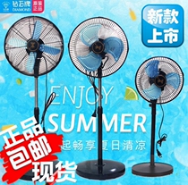 Diamond brand small floor fan 10 inch 12 inch mini electric fan household dormitory aluminum leaf all copper strong floor fan