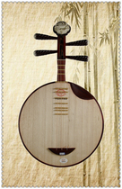 Côte dIvoire Rosewood Yueqin Guangning instrument