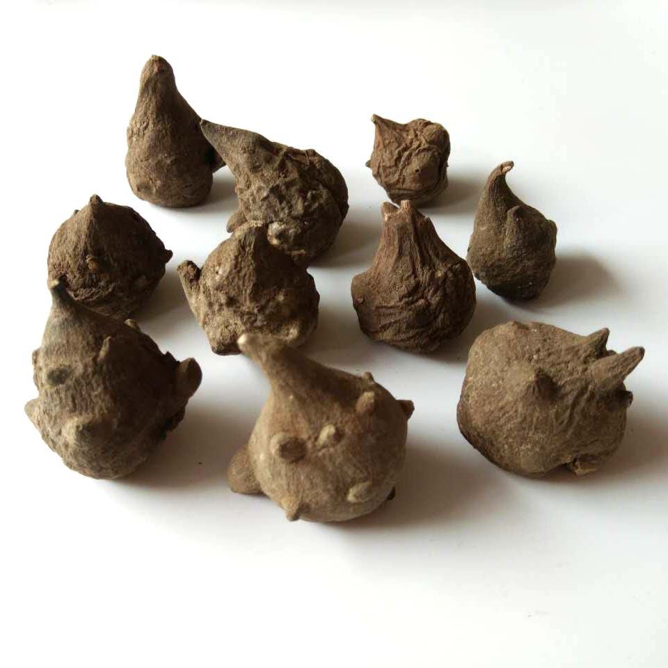 四川省野生中药材天雄白幕乌头苗姜黄250g包邮外用需要联系客服