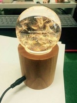 Dandelion specimen night light creative birthday gift resin to give girlfriends handmade hand