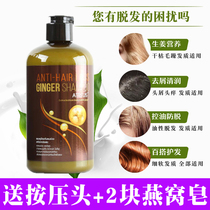 Thailand imported ATREUS ginger shampoo without silicone oil nourishing and supple hair anti-loose hair 400ml