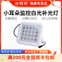 Dongguan Small Ear Tonic Light Lamp White Light Led Night Vision Supplementary Light Assistant Lamp DC12V Power Supply