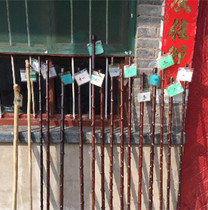 (88 yuan a district)Wutai Mountain tai chi stick solid wood whip rod pair of joint wood Six-way wood dragon wood
