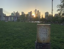 green witch oracle green girl w oracle card English original brand new US direct mail