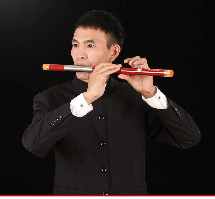 横吹巴乌小学生专业g调f调乐器成人黑檀初学者入门