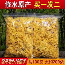 Wuyuan golden silk imperial chrysanthemum rhubarb chrysanthemum a cup of flowers and plants bulk new goods