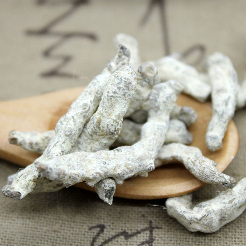 同仁堂中药材正品无硫僵蚕 白僵蚕 天虫 僵蚕粉 炒僵蚕 制炙僵蚕