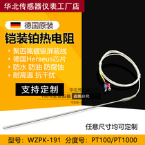Armored PT100 platinum thermal resistance PT1000 temperature probe probe type temperature sensor WZPK-191 pin type