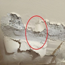 In addition to formaldehyde suction damp desiccant Hanging Mildew Moisture Barrier Wall Indoor Room Wall Hygroscopic Case Theorizer Home