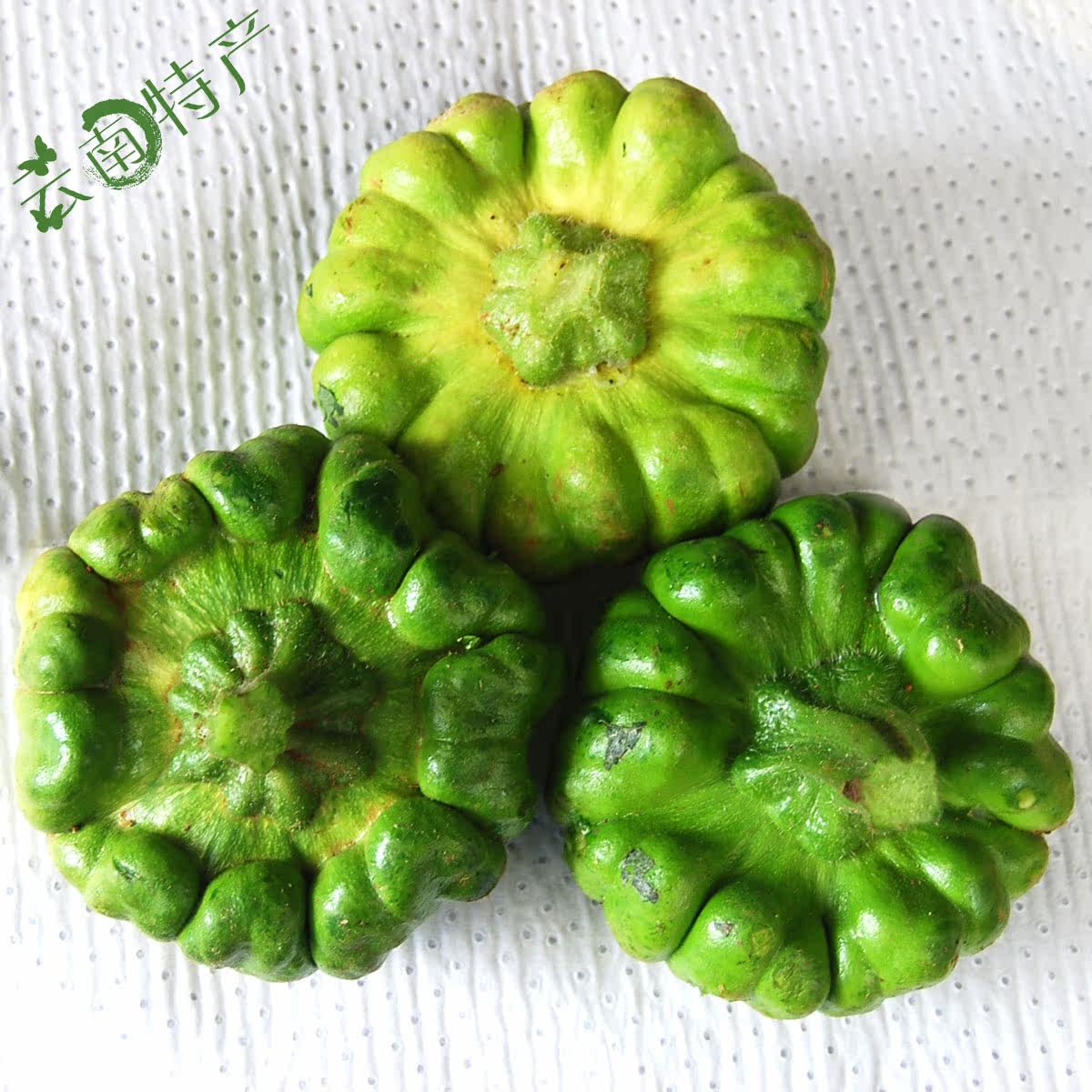 云南特色蔬菜新鲜姜柄瓜姜饼瓜小南瓜野菜农家菜餐厅低价配送