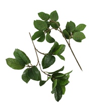 Simulation Plant Fruit Leaves Subpotted Bonsai Single Branches Pear Leaf leaf DIY Background Photographing Decoration Manufacturer Direct