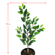 Simulation of green plant plane single-branch agarwood leaves Laurel scented tree shooting props landing decoration factory direct sales