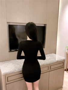 Sexy mesh bra long sleeve slim dress