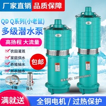 Special Price Multilevel Oil Immersion Submersible Pump High Lift Stroke Agricultural Pump Irrigation Site Downpump Small Rat Household Pump