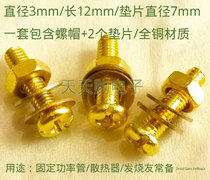 Nut screw 3mm copper screw radiator fixing screw