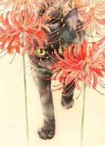 Ruijia makes up the postal fee difference order. This takes a few yuan to shoot a few yuan. Contact the owner to recommend it.