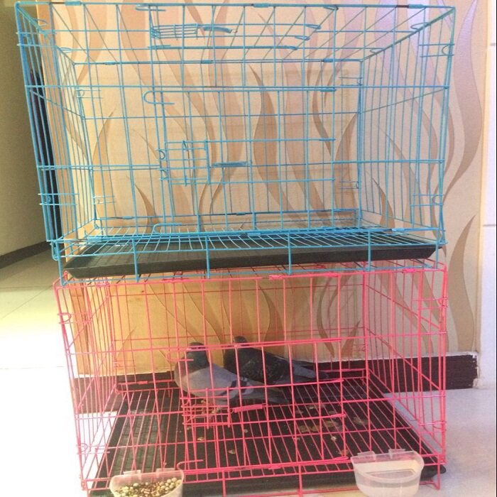 鸽用品鸽子笼配对笼鸟笼宠物笼草窝鸟窝