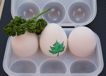 Logos EggCase lege box egg rack outdoor camping protection egg 2 6 packs