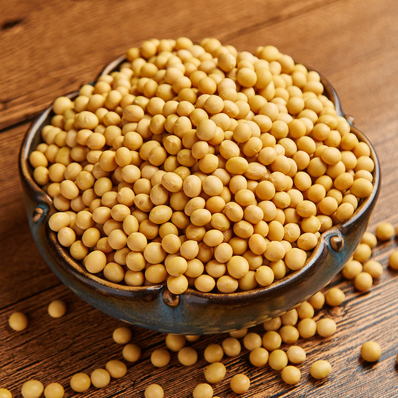 盖亚农场 有机新黄豆900g东北农家自种非转基因大豆可豆浆包邮