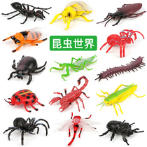 Simulated insect model fake bug Ant scorpion knows Dragonfly mantis Spider cockroach scary bee toy