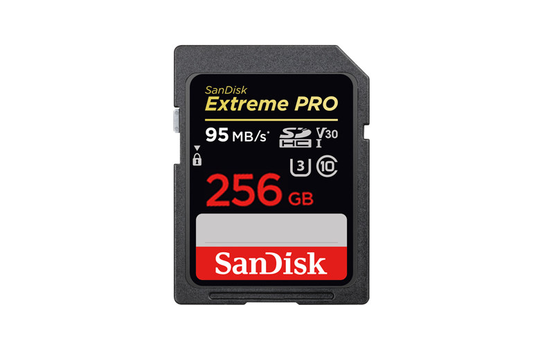 品牌:sandisk/闪迪 存储类型:sd卡 内存容量:256gb 售后服务:全国