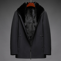 2021 New tasers overcome male ferrets to import whole mink ZL2116