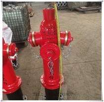 National standard ground anti-collision fire hydrant SSF100-65-1 6 antifreeze anti-collision pressure regulator fire SSFT100
