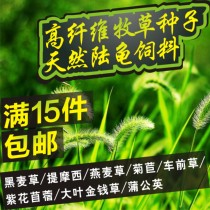 Mixed pasture seeds Timothy ryegrass oatgrass alfalfa seed tortoise feed