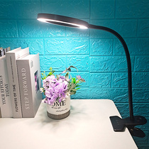 led Clip lamp 01 pig brush English preparation two bottles of acid