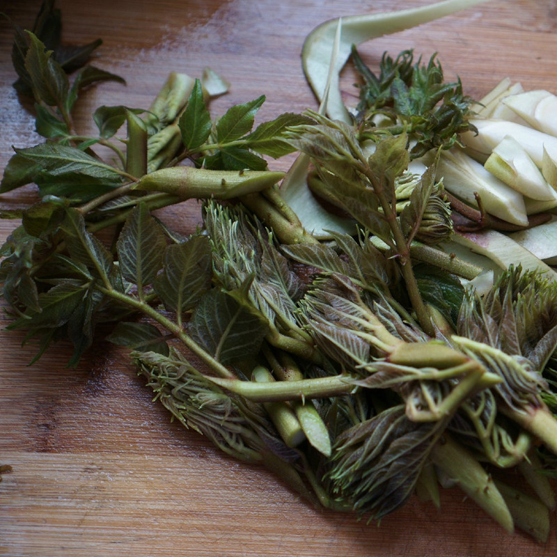 云南刺老包刺老芽刺嫩芽树头菜老虎刺野生500克