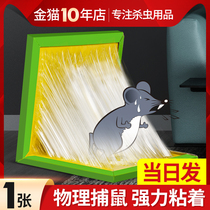 Sticky mouse board nest end strong sticky mouse glue stick Magic medicine catch and kill stick big rat trap artifact Super household