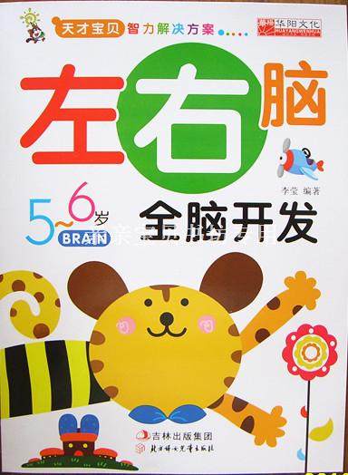 2-3-4-5-6-7幼儿左右脑开发早教益智童书宝宝全脑智力开发贴纸书