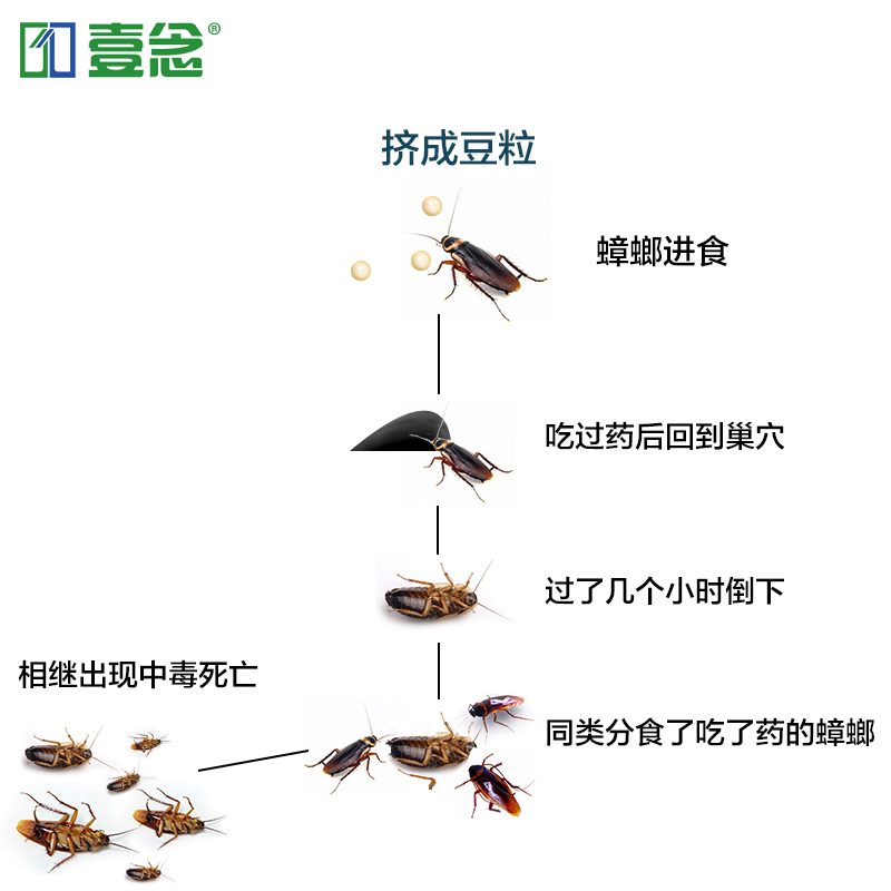 壹念杀蟑胶饵强力灭蟑螂药全窝端蟑螂屋贴除蟑螂捕捉器家用杀虫剂产品展示图4