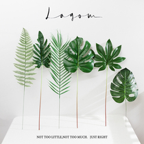 ins Green plant fern leaf iron tree monstera leaf food photo cosmetics photography props decoration background