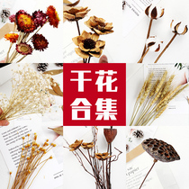 Retro style photo props ins dried flowers fake flowers forest ornaments Food shooting Chinese style photography background cloth