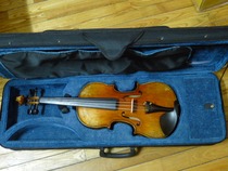 Premium European Playing Violin (4 4)