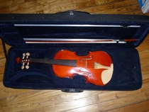 High-end playing violin with poplar accessories (44)