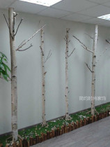 Natural birch tree decoration tree Birch tree dry log decoration tree section branch branches Dead tree decoration window entrance