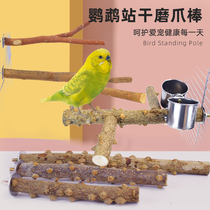 Pepper Wood Stand Pole Parrot Ocking Brow Brow Standing Stick Stand Mill Claw Baseball Mouth Bird Cage Accessories Bird Furniture Supplies Log