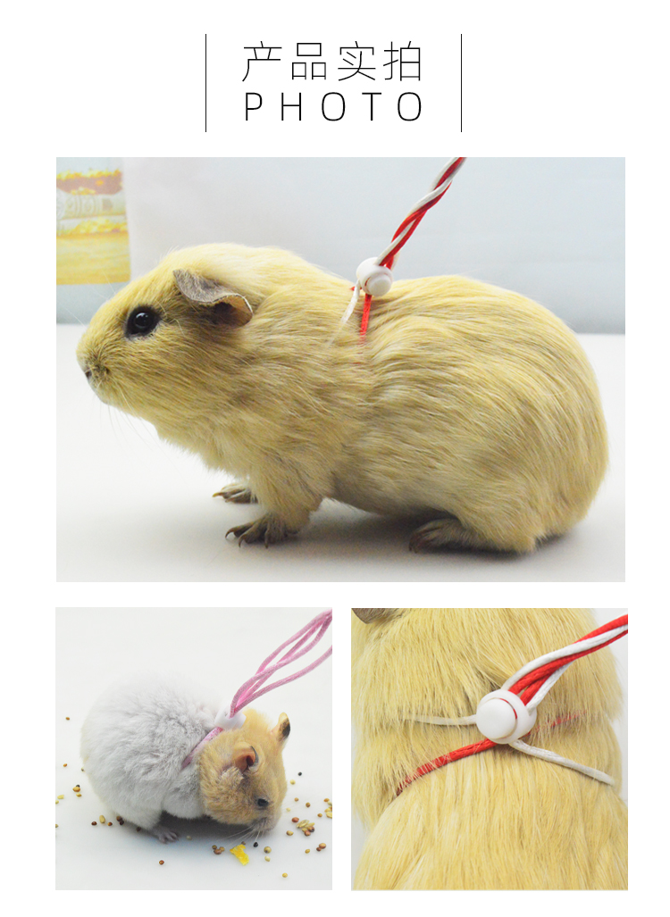 仓鼠牵引绳子松鼠牵引绳荷兰猪牵引绳仓鼠溜鼠绳仓鼠用品玩具