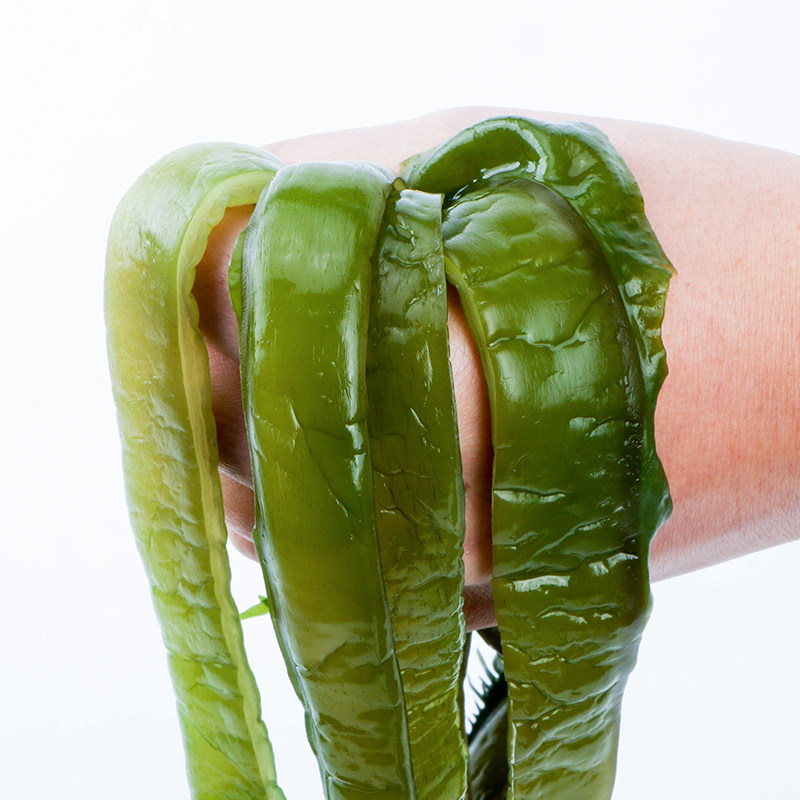 荣成新货盐渍裙带梗裙带菜梗海白菜海藻海菜干货新鲜真空5斤包邮