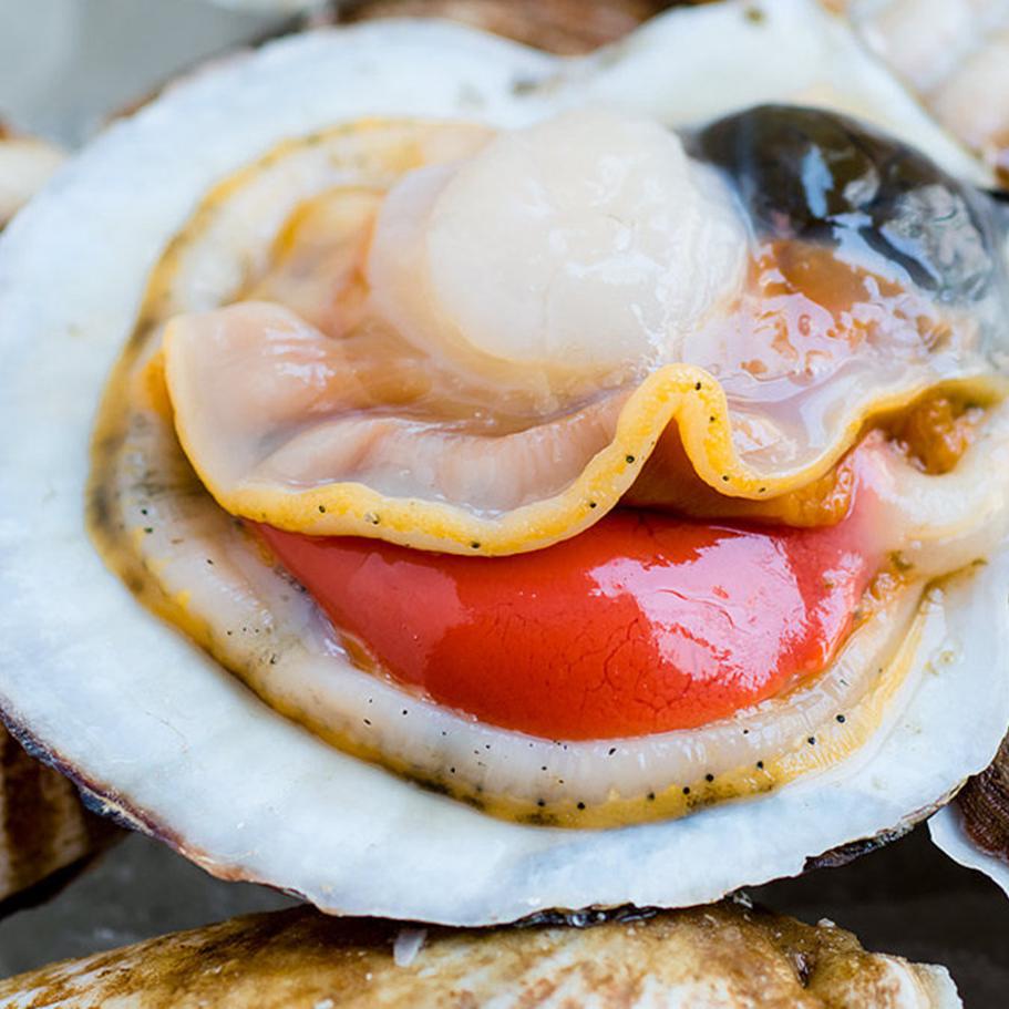 刘清 大连特产海鲜 虾夷扇贝8-9只/2斤