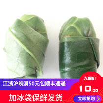 Taiwan betel nut red gray and white ash green betel nut bad taste tender special selection of fresh raw green fruit Chiayi betel nut