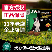 Dog Heart Bao Medium Dog Deworming 6 Alaskan border herding dog in vivo deworming medicine deworming heartworm pets