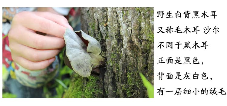 长白山野生毛木耳 野生白背木耳 沙耳 黑木耳 东北黑木耳 干货