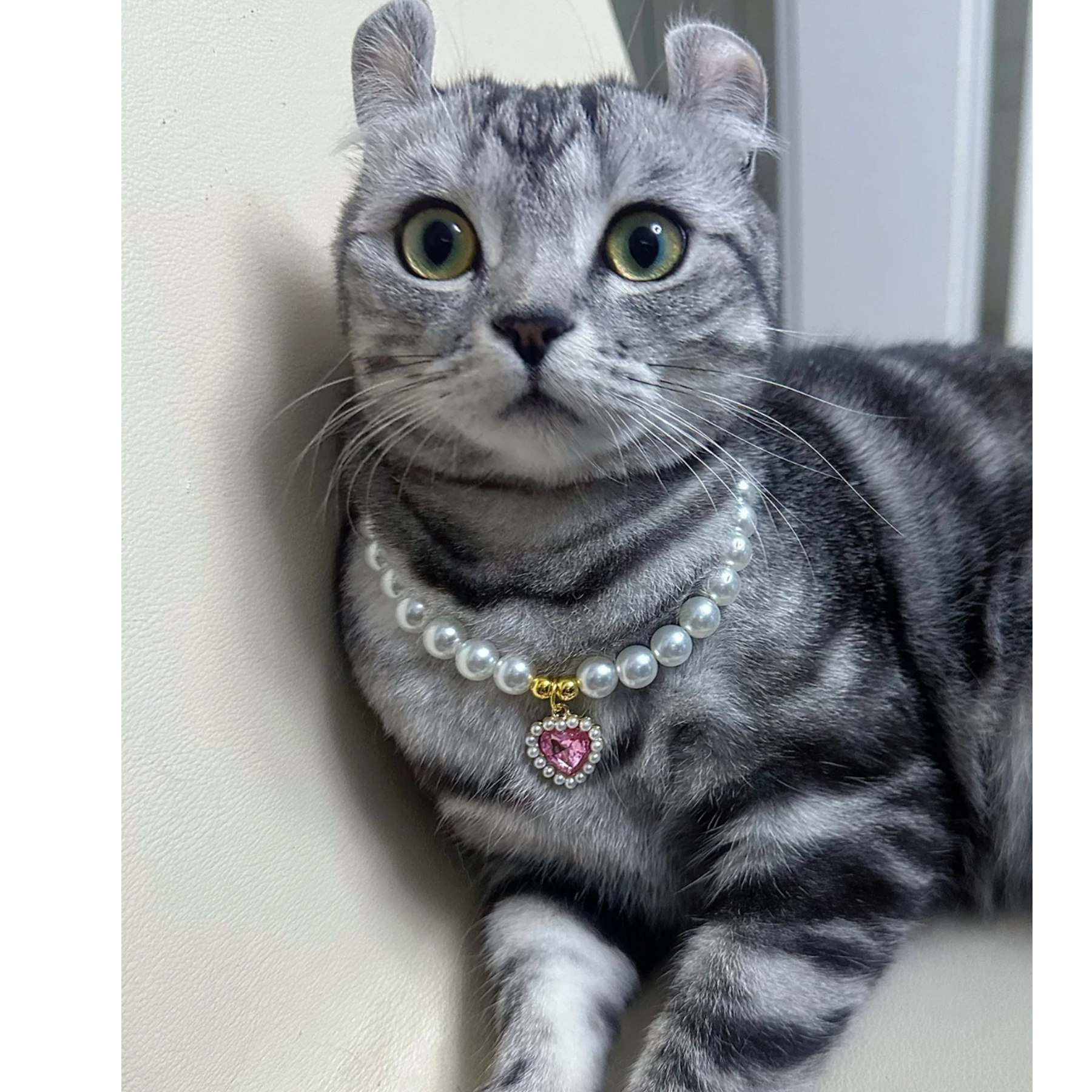 40炫彩宝石猫咪珍珠项链狗狗猫猫项圈可爱高颜值拍照装饰品爱心